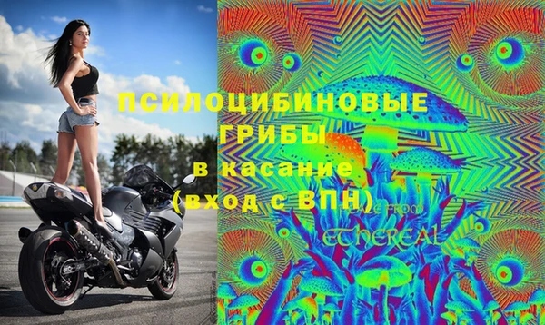 соль курить ск Алзамай