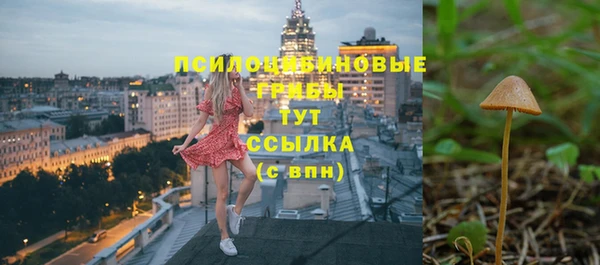 соль курить ск Алзамай